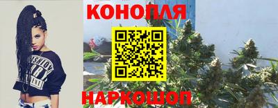сатива Малгобек