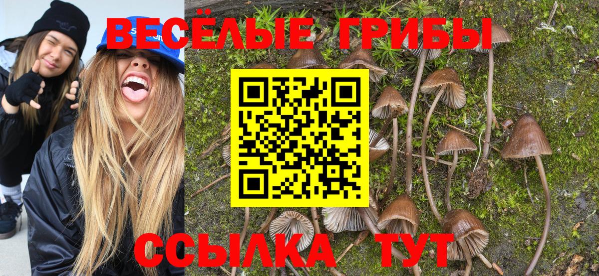 Псилоцибиновые грибы ЛСД  Псилоцибиновые грибы Psilocybe  Вход с VPN  Волжск 